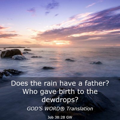Picture 03 - Job 38:28 GW - Does the rain have a father? Who gave birth to - Bible Verse Picture