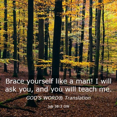 Picture 03 - Job 38:3 GW - Brace yourself like a man! I will ask you, and - Bible Verse Picture