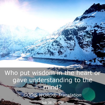 Picture 03 - Job 38:36 GW - Who put wisdom in the heart or gave understanding - Bible Verse Picture