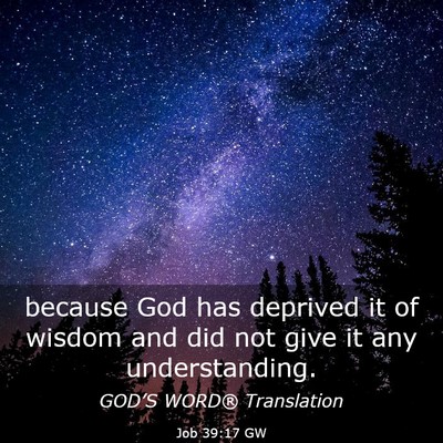 Picture 03 - Job 39:17 GW - because God has deprived it of wisdom and did not - Bible Verse Picture