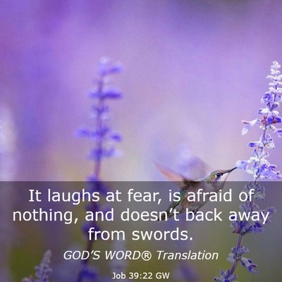 Picture 03 - Job 39:22 GW - It laughs at fear, is afraid of nothing, and - Bible Verse Picture