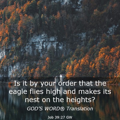 Picture 03 - Job 39:27 GW - Is it by your order that the eagle flies high and - Bible Verse Picture