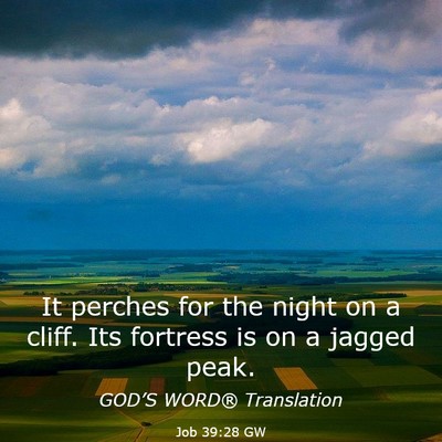Picture 03 - Job 39:28 GW - It perches for the night on a cliff. Its fortress - Bible Verse Picture