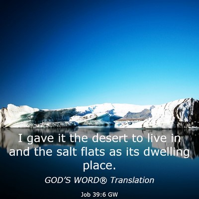 Picture 03 - Job 39:6 GW - I gave it the desert to live in and the salt - Bible Verse Picture