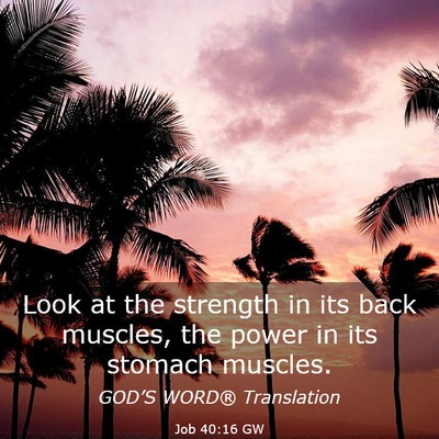 Picture 03 - Job 40:16 GW - Look at the strength in its back muscles, the - Bible Verse Picture