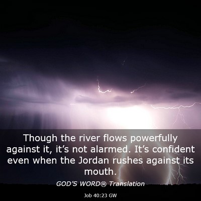 Picture 03 - Job 40:23 GW - Though the river flows powerfully against it, - Bible Verse Picture