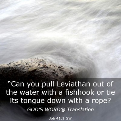 Picture 03 - Job 41:1 GW - “Can you pull Leviathan out of the water with a - Bible Verse Picture