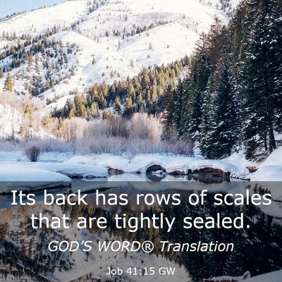 Picture 03 - Job 41:15 GW - Its back has rows of scales that are tightly - Bible Verse Picture