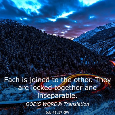 Picture 03 - Job 41:17 GW - Each is joined to the other. They are locked - Bible Verse Picture
