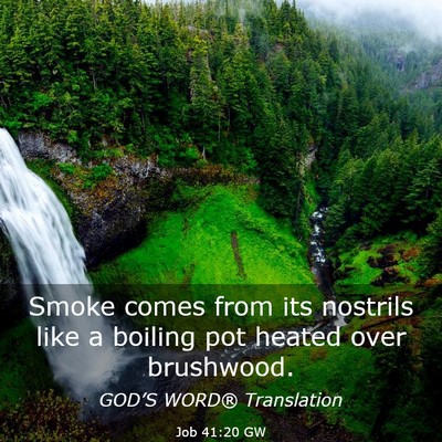 Picture 03 - Job 41:20 GW - Smoke comes from its nostrils like a boiling pot - Bible Verse Picture