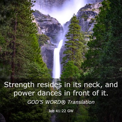 Picture 03 - Job 41:22 GW - Strength resides in its neck, and power dances in - Bible Verse Picture
