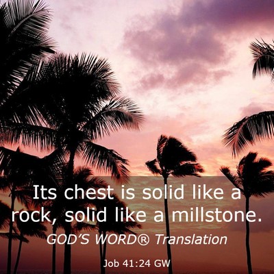 Picture 03 - Job 41:24 GW - Its chest is solid like a rock, solid like a - Bible Verse Picture