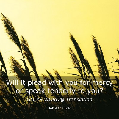 Picture 03 - Job 41:3 GW - Will it plead with you for mercy or speak - Bible Verse Picture
