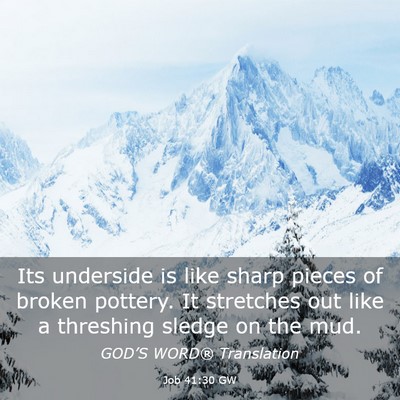 Picture 03 - Job 41:30 GW - Its underside is like sharp pieces of broken - Bible Verse Picture