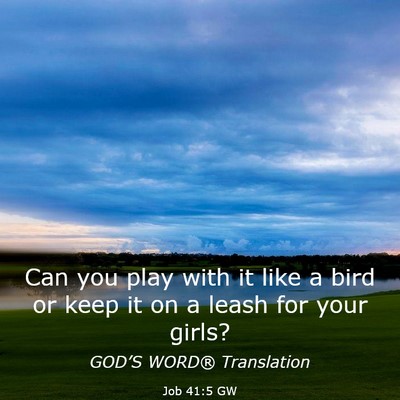 Picture 03 - Job 41:5 GW - Can you play with it like a bird or keep it on a - Bible Verse Picture
