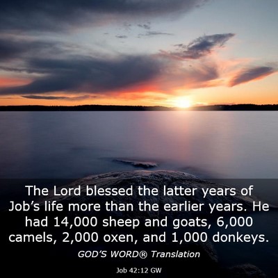 Picture 03 - Job 42:12 GW - The Lord blessed the latter years of Job’s life - Bible Verse Picture