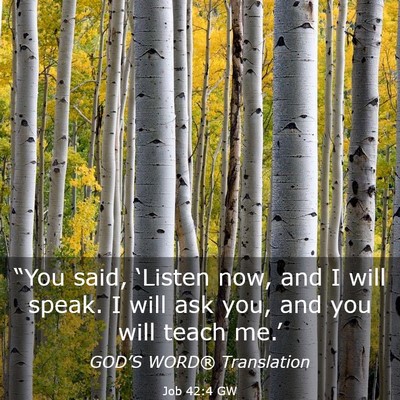 Picture 03 - Job 42:4 GW - “You said, ‘Listen now, and I will speak. I - Bible Verse Picture