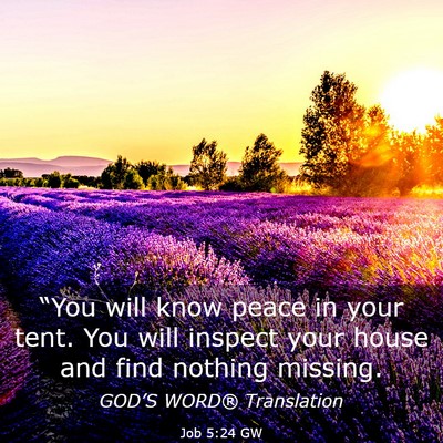 Picture 03 - Job 5:24 GW - “You will know peace in your tent. You will - Bible Verse Picture