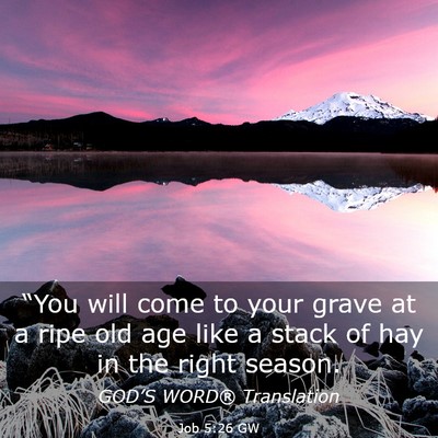 Picture 03 - Job 5:26 GW - “You will come to your grave at a ripe old age - Bible Verse Picture
