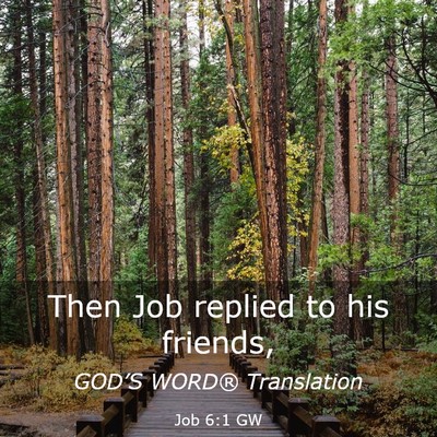 Picture 03 - Job 6:1 GW - Then Job replied to his - Bible Verse Picture