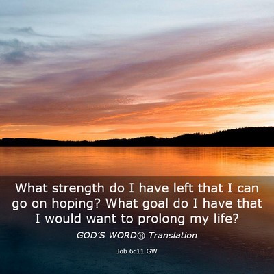 Picture 03 - Job 6:11 GW - What strength do I have left that I can go on - Bible Verse Picture