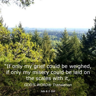 Picture 03 - Job 6:2 GW - “If only my grief could be weighed, if only my - Bible Verse Picture