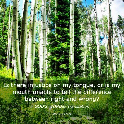 Picture 03 - Job 6:30 GW - Is there injustice on my tongue, or is my mouth - Bible Verse Picture