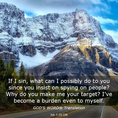 Picture 03 - Job 7:20 GW - If I sin, what can I possibly do to you since you - Bible Verse Picture