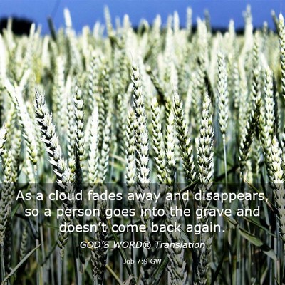 Picture 03 - Job 7:9 GW - As a cloud fades away and disappears, so a person - Bible Verse Picture