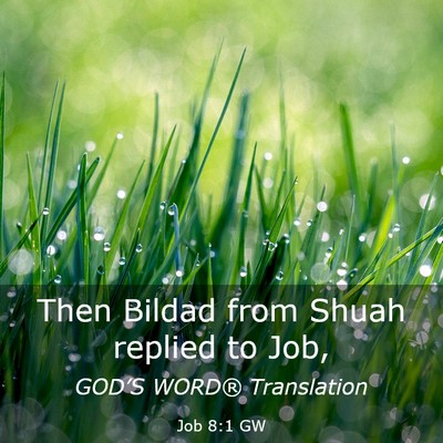 Picture 03 - Job 8:1 GW - Then Bildad from Shuah replied to - Bible Verse Picture