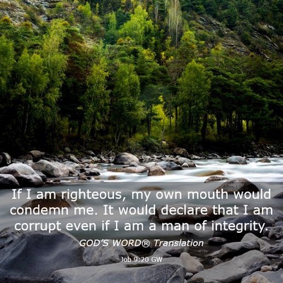 Picture 03 - Job 9:20 GW - If I am righteous, my own mouth would condemn me. - Bible Verse Picture