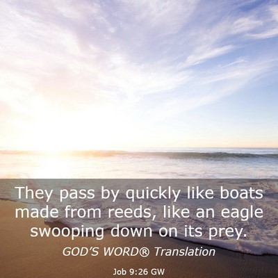 Picture 03 - Job 9:26 GW - They pass by quickly like boats made from reeds, - Bible Verse Picture