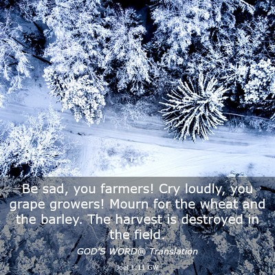 Picture 03 - Joel 1:11 GW - Be sad, you farmers! Cry loudly, you grape - Bible Verse Picture