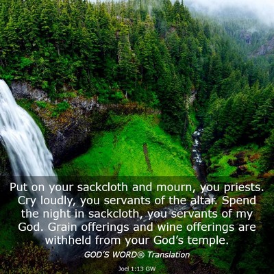 Picture 03 - Joel 1:13 GW - Put on your sackcloth and mourn, you priests. Cry - Bible Verse Picture
