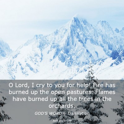 Picture 03 - Joel 1:19 GW - O Lord, I cry to you for help! Fire has burned up - Bible Verse Picture