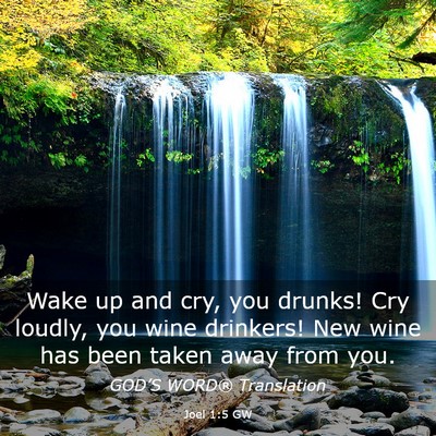 Picture 03 - Joel 1:5 GW - Wake up and cry, you drunks! Cry loudly, you wine - Bible Verse Picture