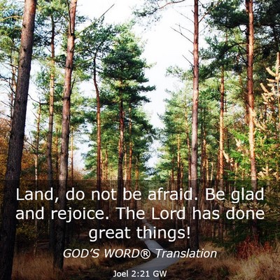Picture 03 - Joel 2:21 GW - Land, do not be afraid. Be glad and rejoice. The - Bible Verse Picture