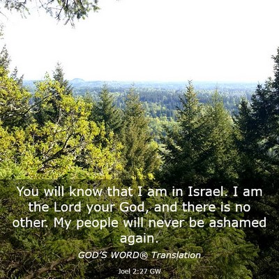 Picture 03 - Joel 2:27 GW - You will know that I am in Israel. I am the Lord - Bible Verse Picture