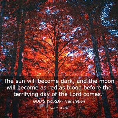 Picture 03 - Joel 2:31 GW - The sun will become dark, and the moon will - Bible Verse Picture