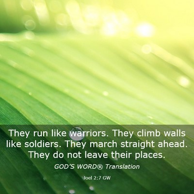 Picture 03 - Joel 2:7 GW - They run like warriors. They climb walls like - Bible Verse Picture