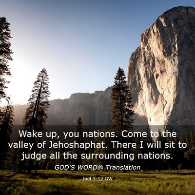 Picture 03 - Joel 3:12 GW - Wake up, you nations. Come to the valley of - Bible Verse Picture