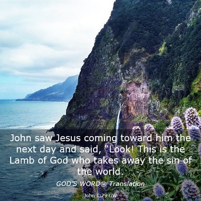 Picture 03 - John 1:29 GW - John saw Jesus coming toward him the next day and - Bible Verse Picture
