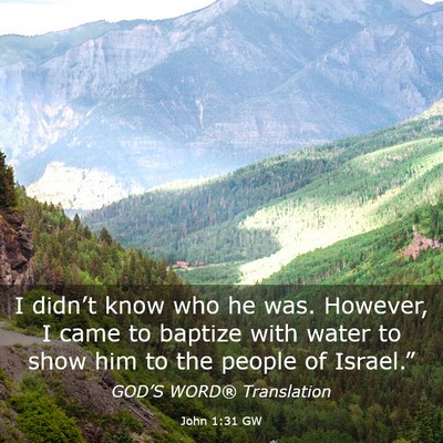 Picture 03 - John 1:31 GW - I didn’t know who he was. However, I came to - Bible Verse Picture