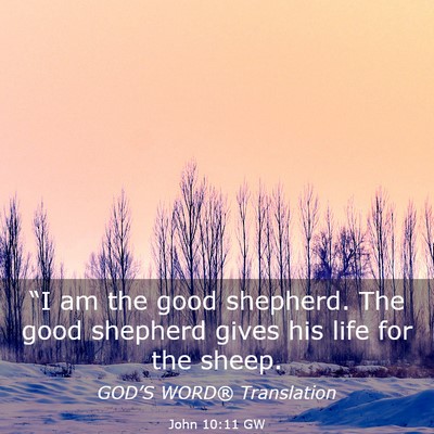 Picture 03 - John 10:11 GW - “I am the good shepherd. The good shepherd - Bible Verse Picture
