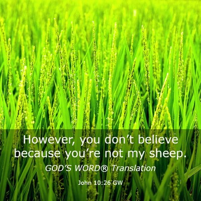Picture 03 - John 10:26 GW - However, you don’t believe because you’re not - Bible Verse Picture