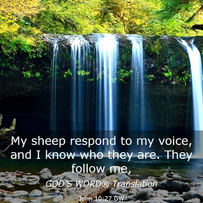Picture 03 - John 10:27 GW - My sheep respond to my voice, and I know who they - Bible Verse Picture