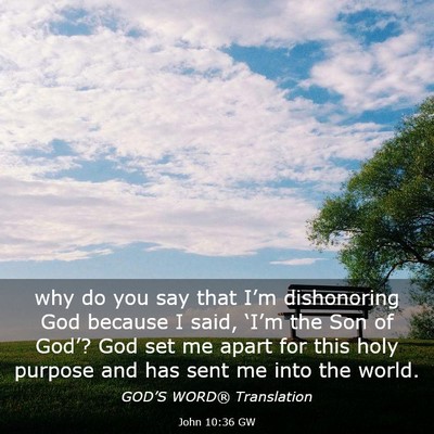 Picture 03 - John 10:36 GW - why do you say that I’m dishonoring God because - Bible Verse Picture
