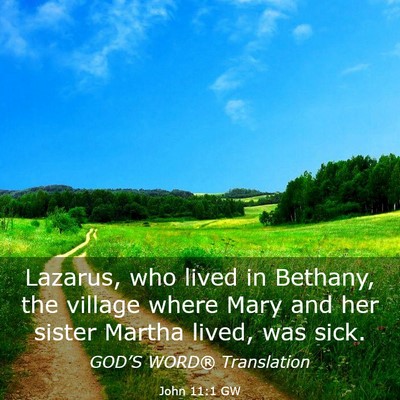 Picture 03 - John 11:1 GW - Lazarus, who lived in Bethany, the village where - Bible Verse Picture