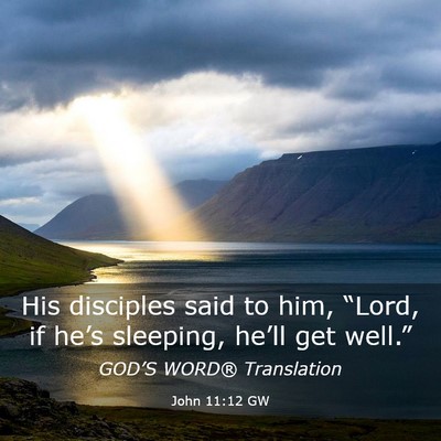 Picture 03 - John 11:12 GW - His disciples said to him, “Lord, if he’s - Bible Verse Picture