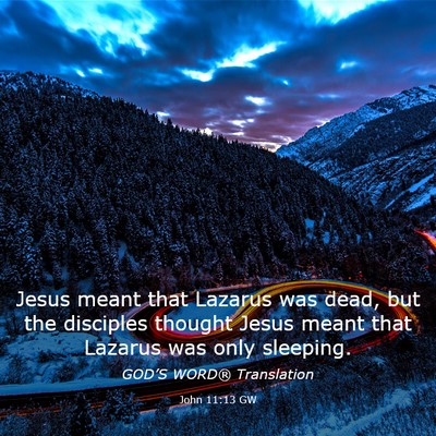 Picture 03 - John 11:13 GW - Jesus meant that Lazarus was dead, but the - Bible Verse Picture